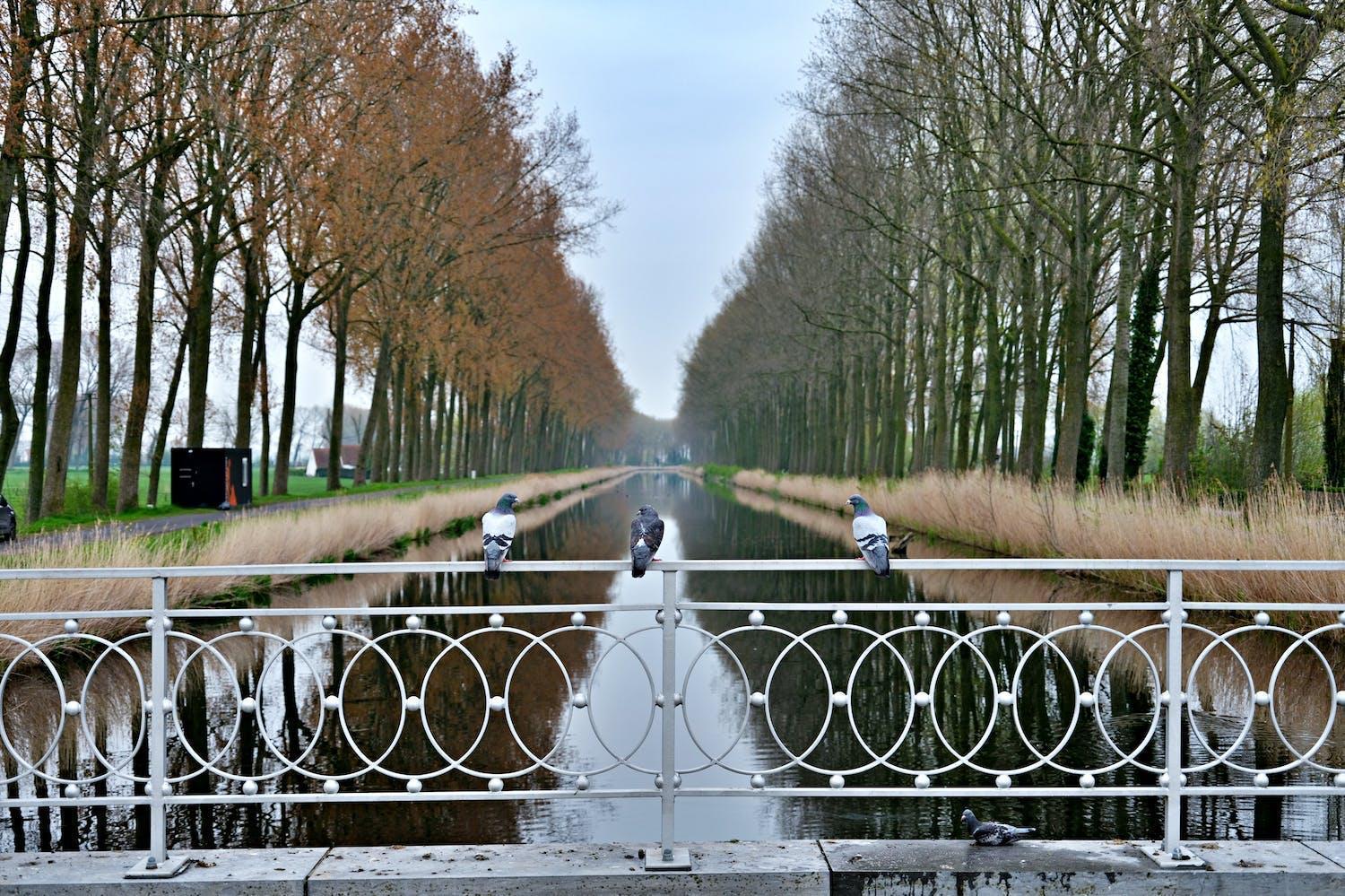 Hotel Ter Polders 2*